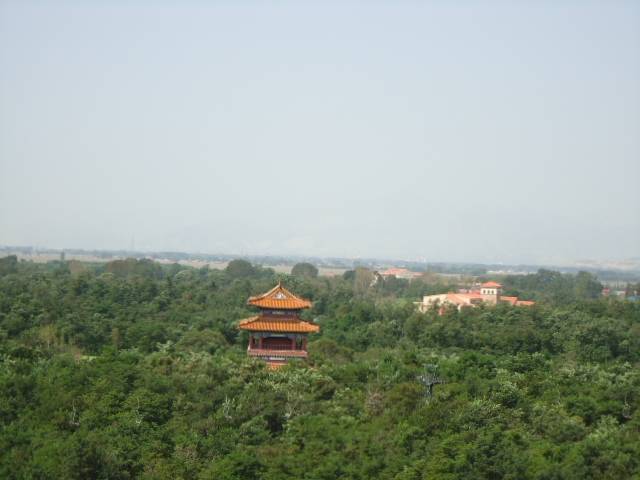 DSC00650.JPG
