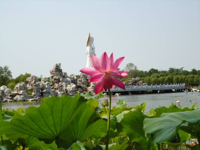 DSC00677.JPG