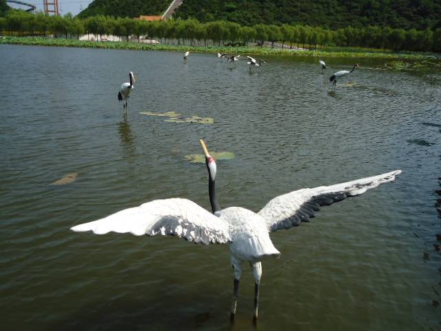 DSC00724.JPG