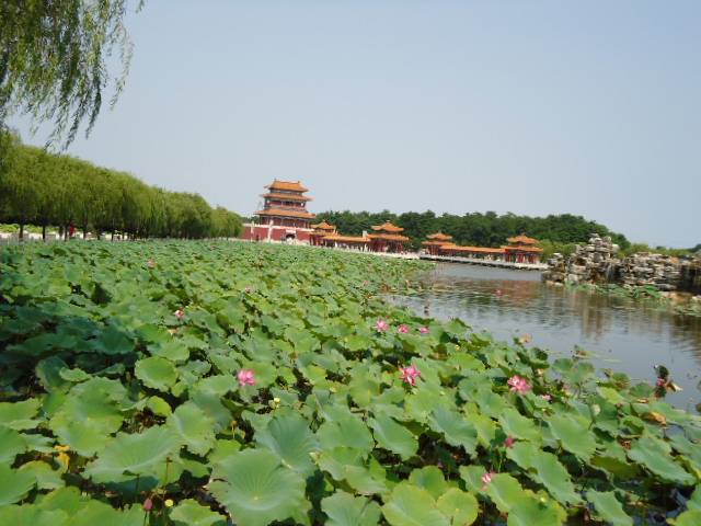 DSC00735.JPG
