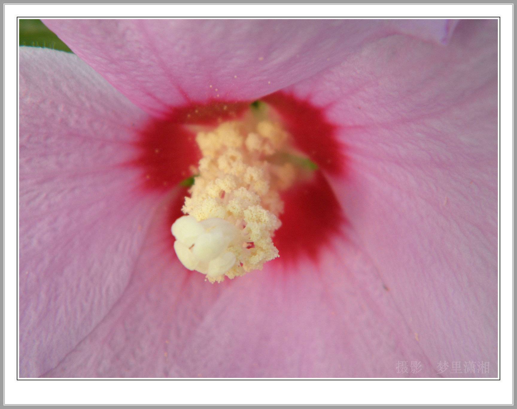 P9110012_.jpg