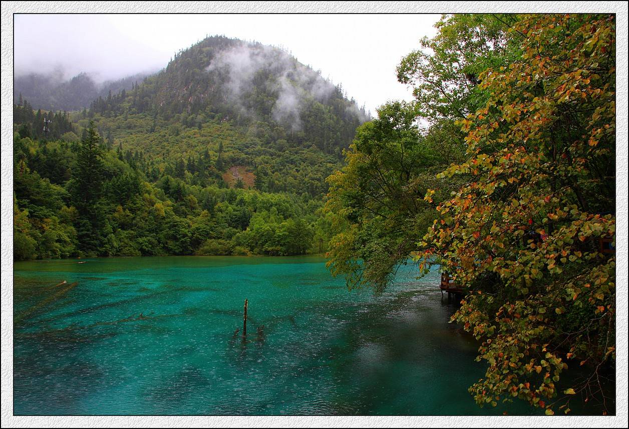 IMG_0075_conew1.jpg