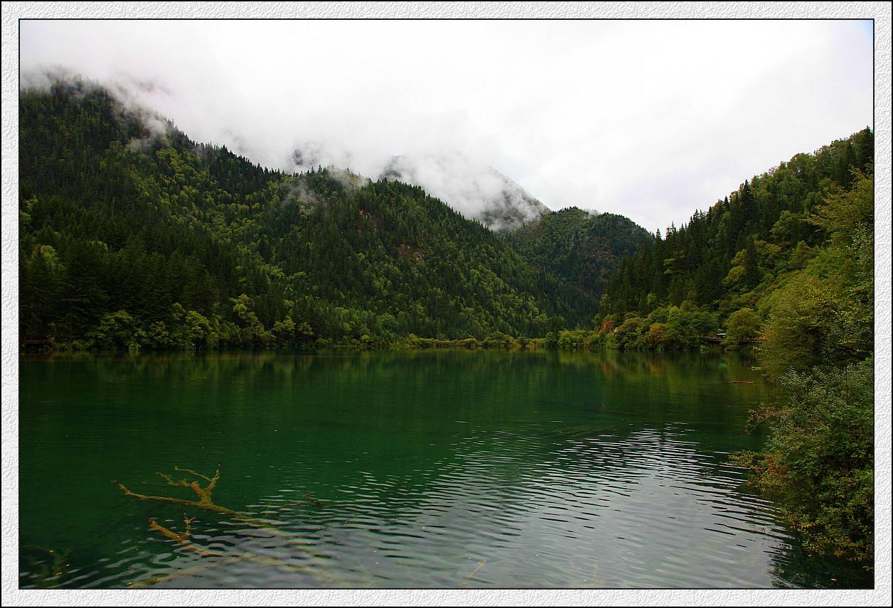 IMG_0237_conew1.jpg