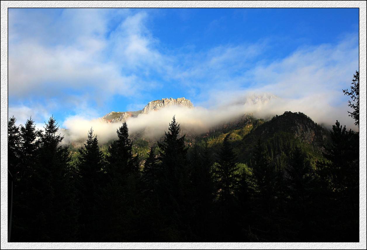 IMG_0423_conew1.jpg