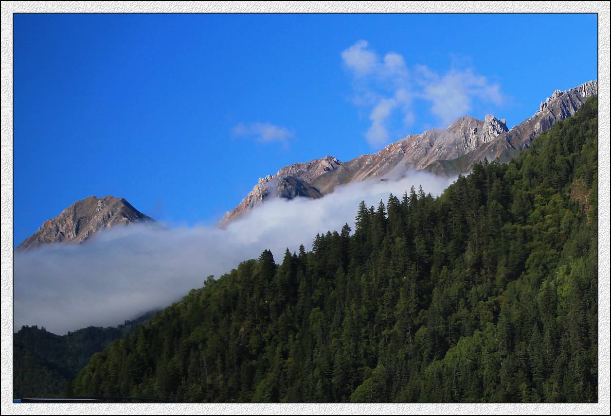 IMG_0440_conew1.jpg