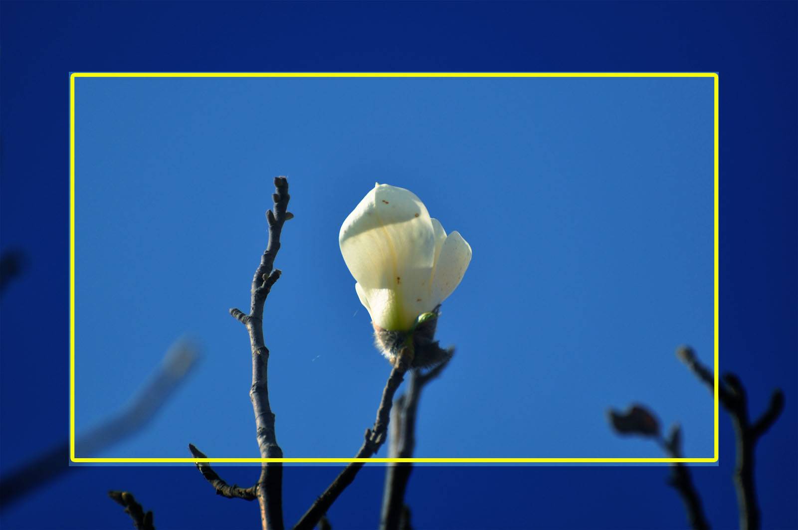 DSC_0326.jpg