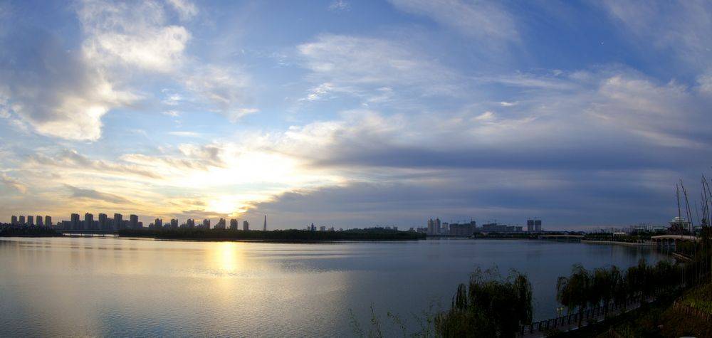 _MG_2528.jpg