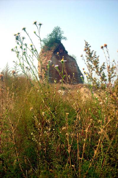 DSCN3889__.jpg