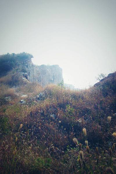 DSCN3872__.jpg