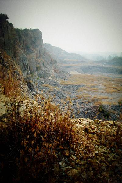 DSCN3874__.jpg