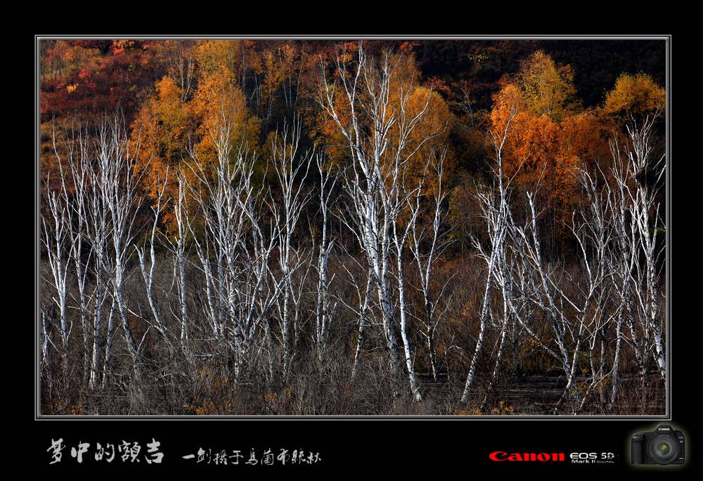 IMG_1290.jpg