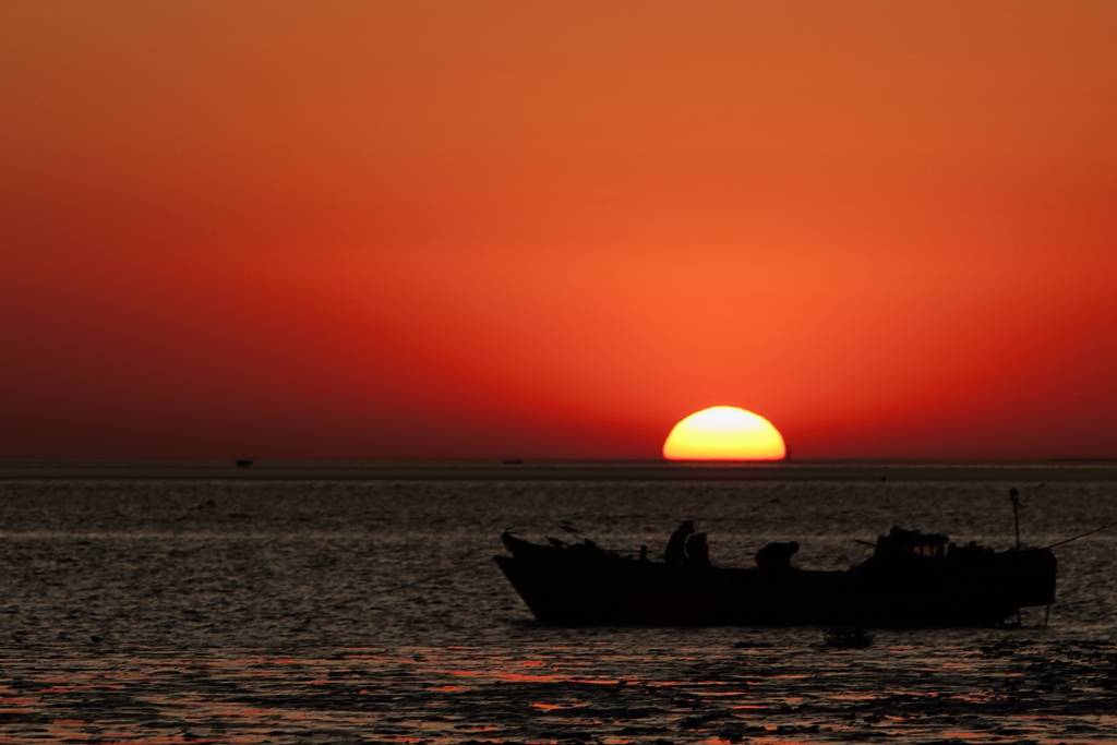 _MG_0847.JPG