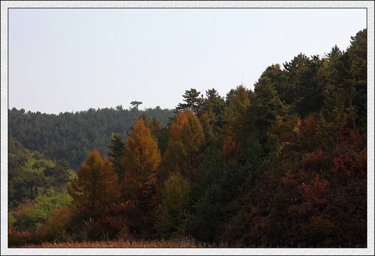 IMG_1159_conew1.jpg