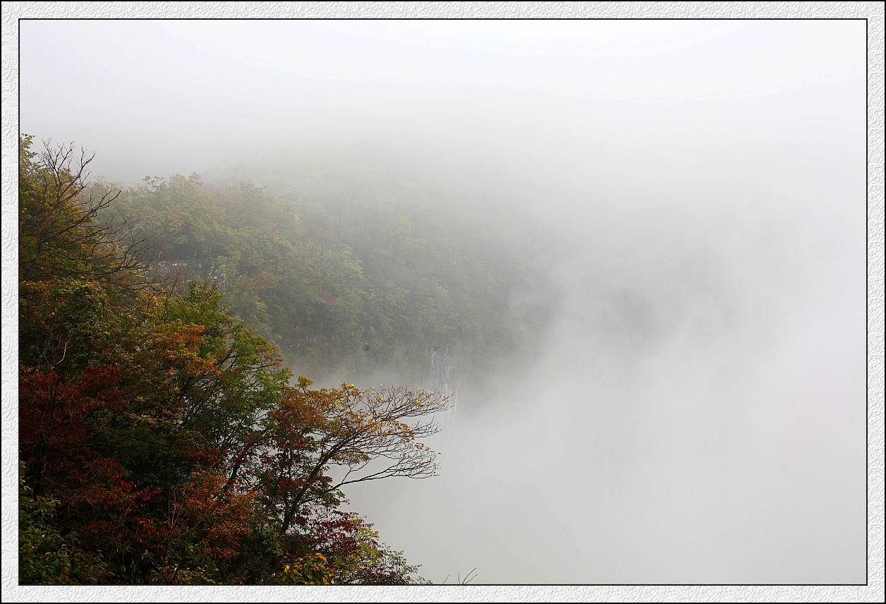 IMG_0874_conew1.jpg