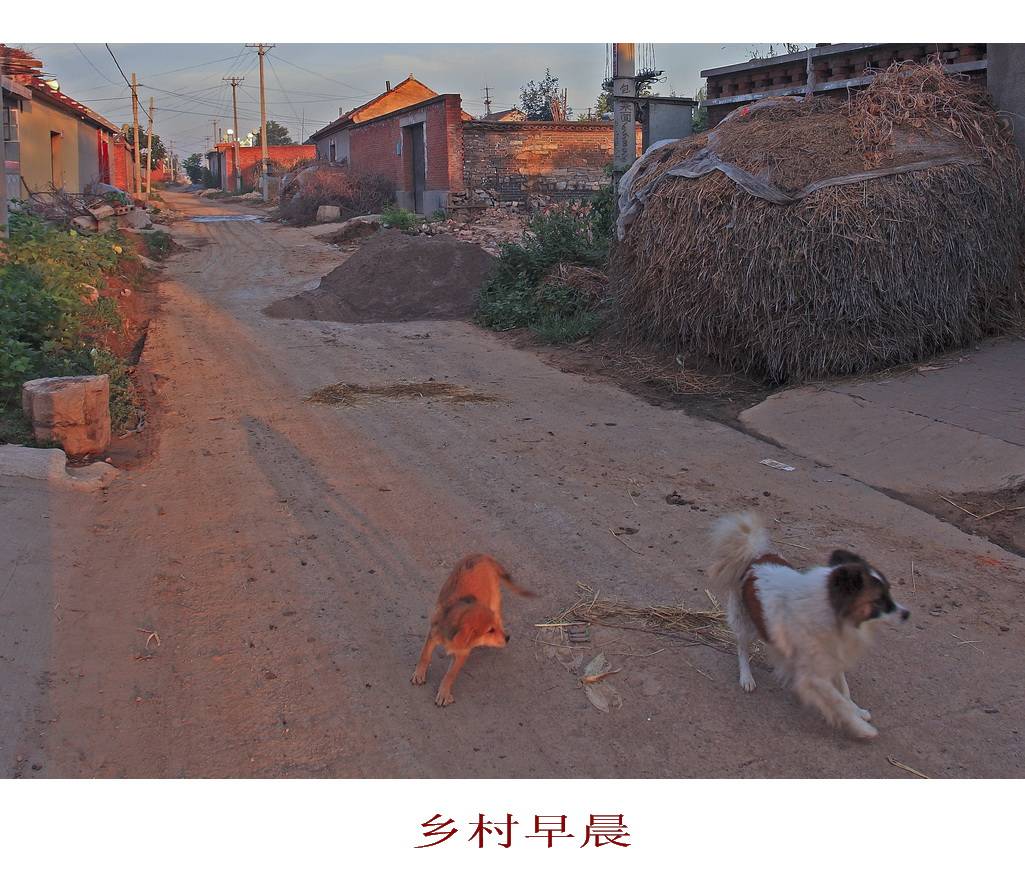 䳿1.jpg