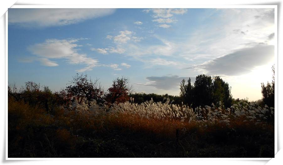DSCN102 .jpg