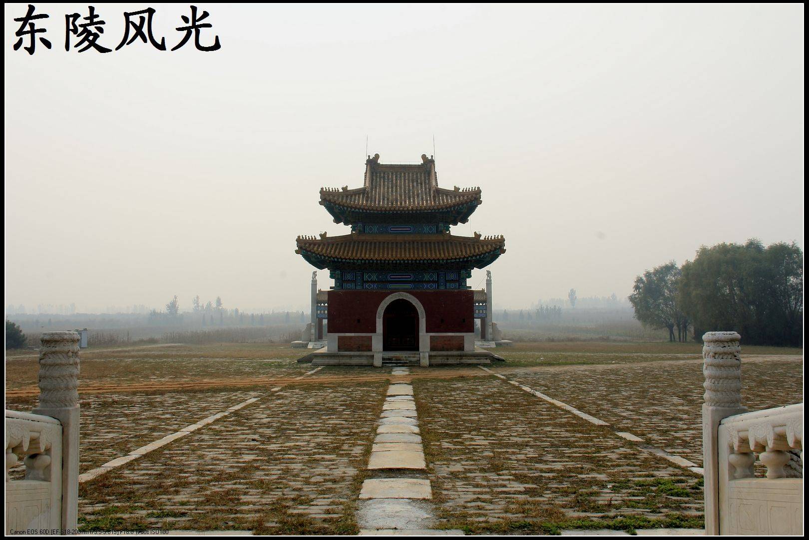 IMG_8628.jpg