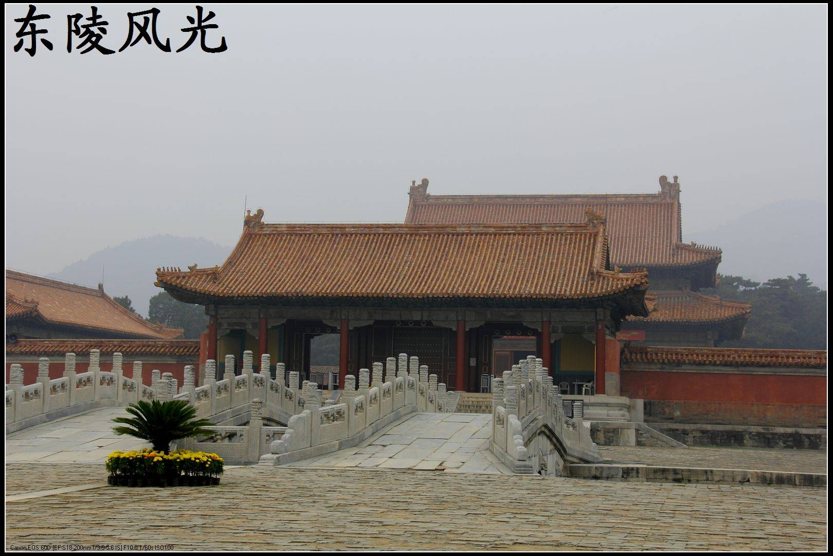 IMG_8777.jpg