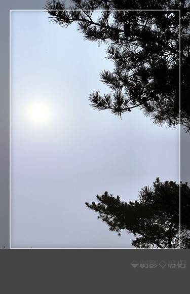 CIMG0093_.jpg