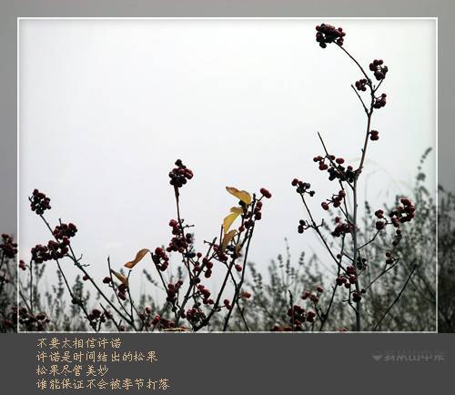 CIMG0249_.jpg
