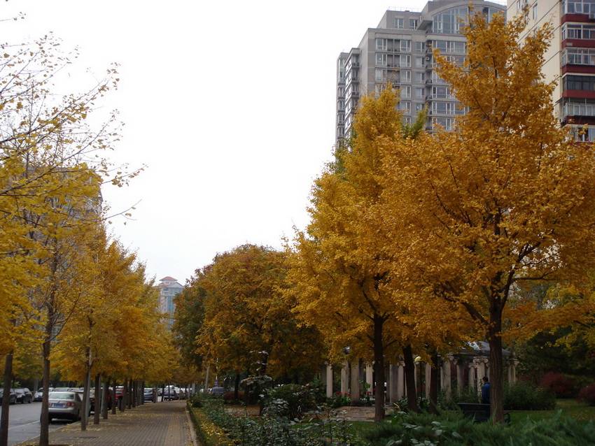 DSC07028_С_С.JPG