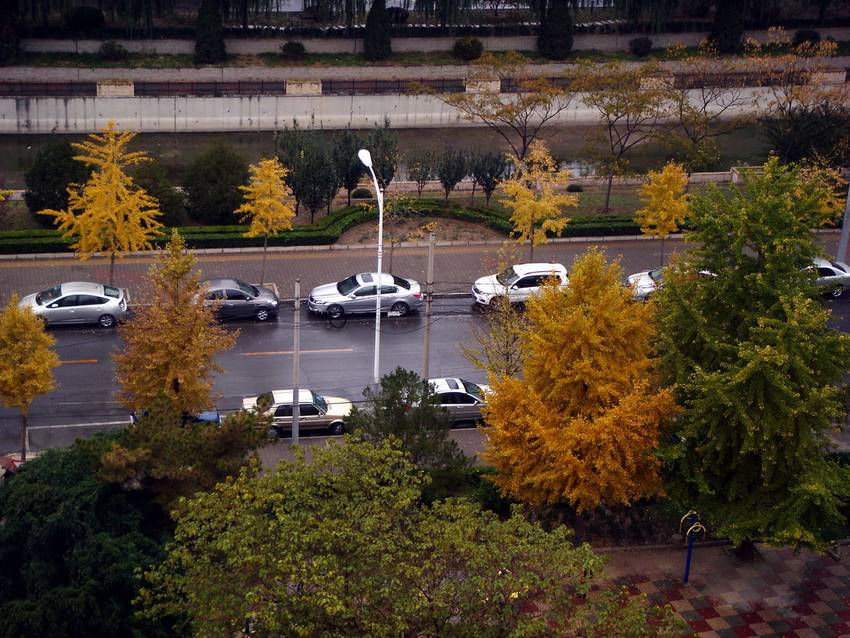 DSC06957_С_С.JPG