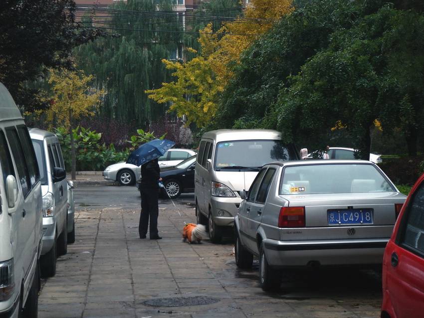 DSC06960_С_С.JPG