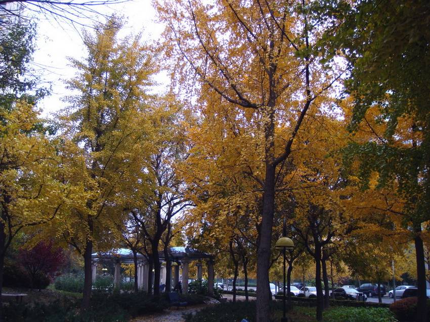 DSC06967_С_С.JPG