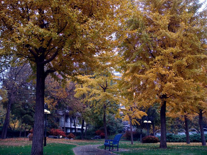 DSC06974_С_С.JPG