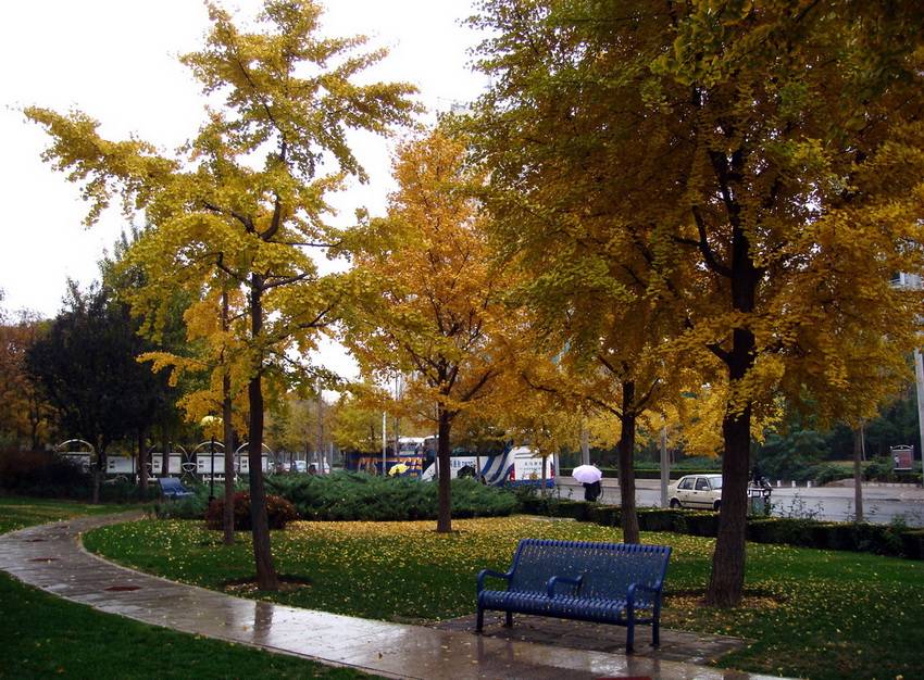 DSC06975_С_С.JPG