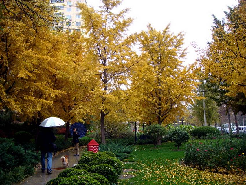 DSC06984_С_С.JPG