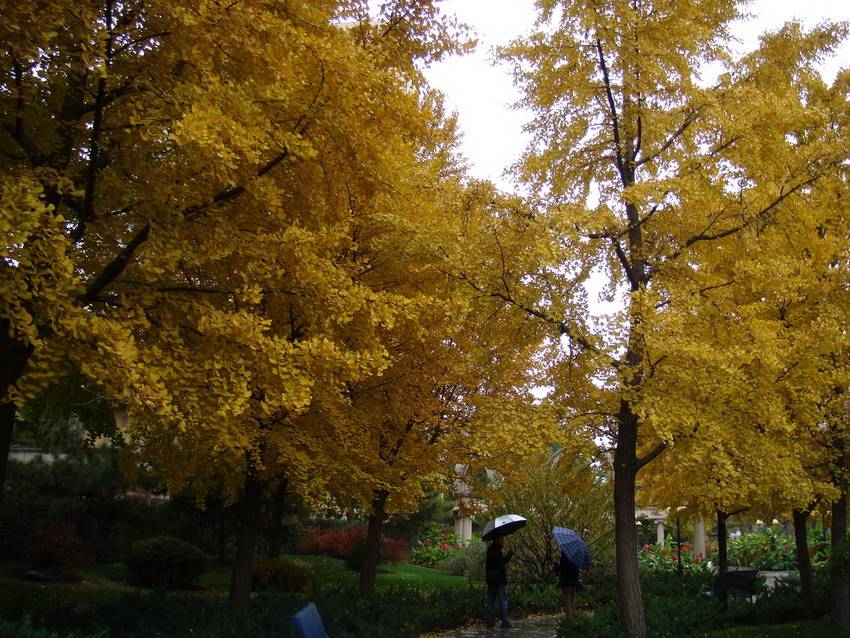 DSC06989_С_С.JPG