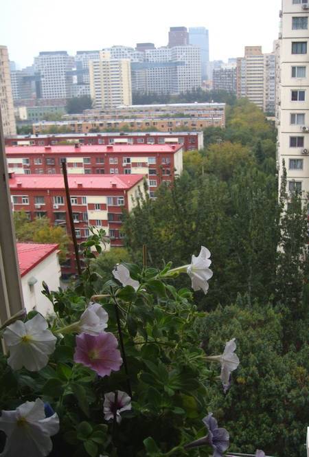DSC06950_С.JPG