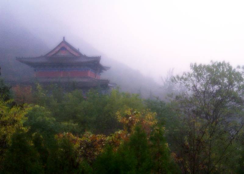 IMAG0070.jpg