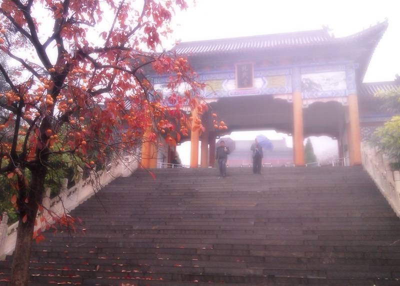 IMAG0077.jpg