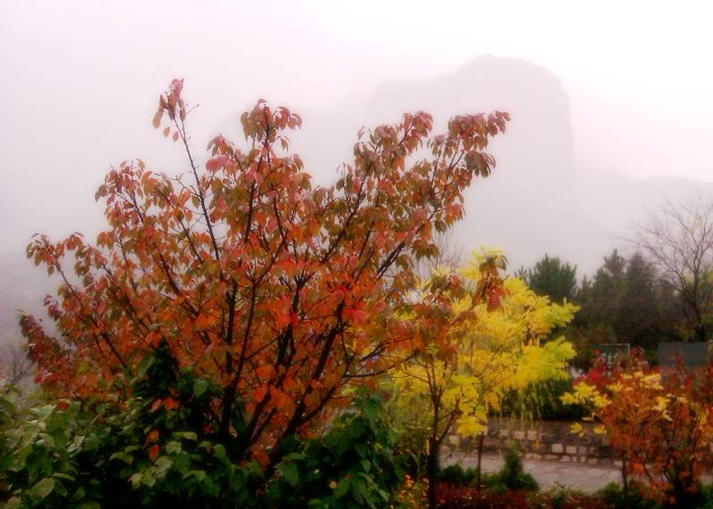 IMAG0104.jpg