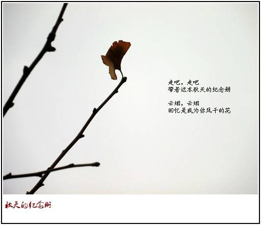 CIMG0510_.jpg