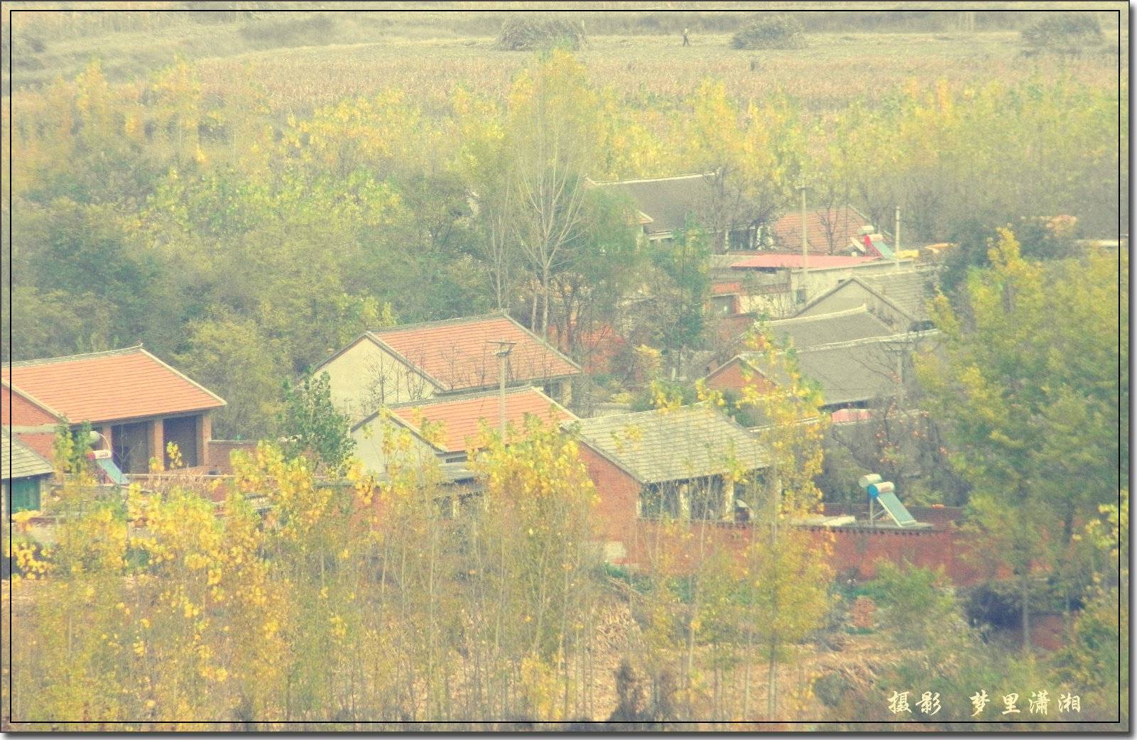 PB070025_.jpg