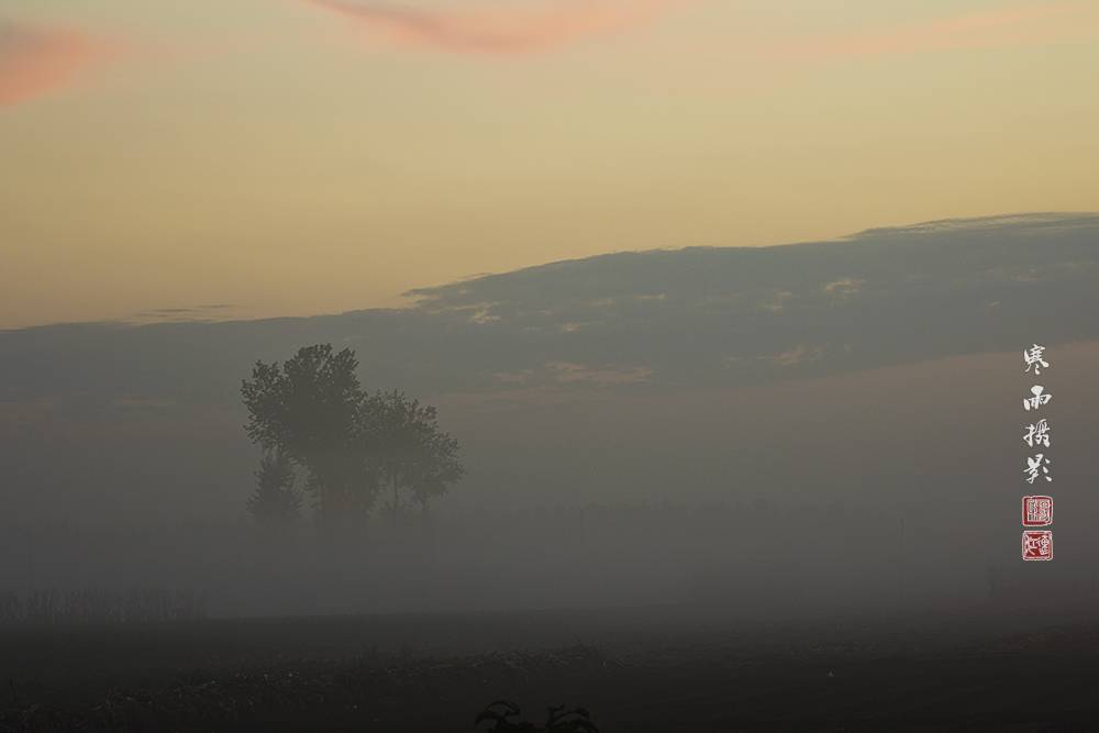 _MG_4305.jpg