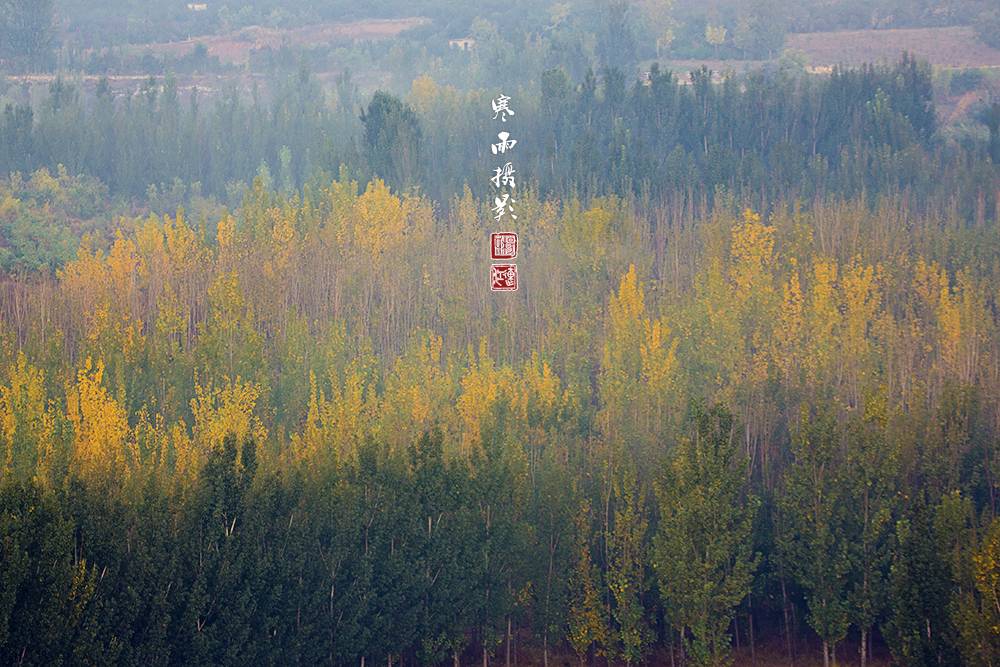 _MG_4323.jpg