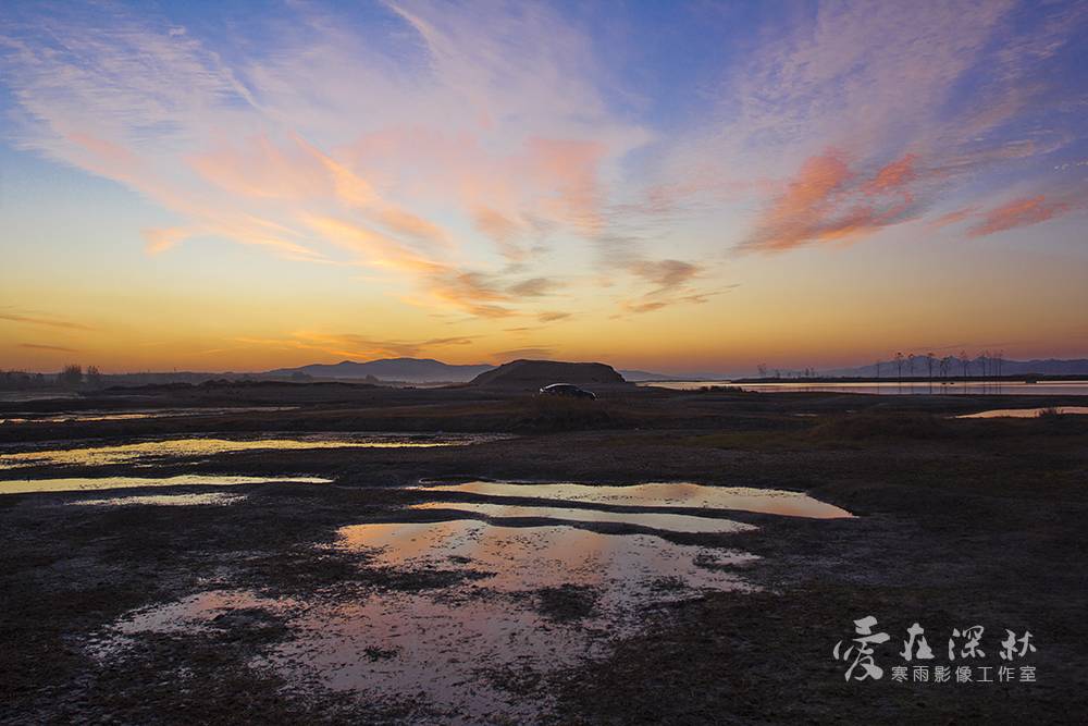 _MG_7977.jpg