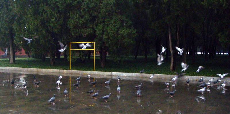 DSC07184-1_С.jpg