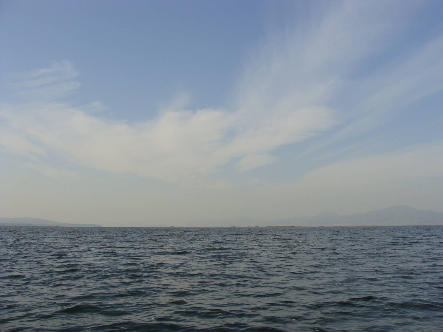 DSC01039.jpg