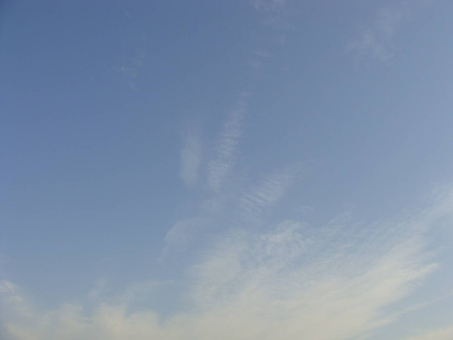 DSC01042.jpg