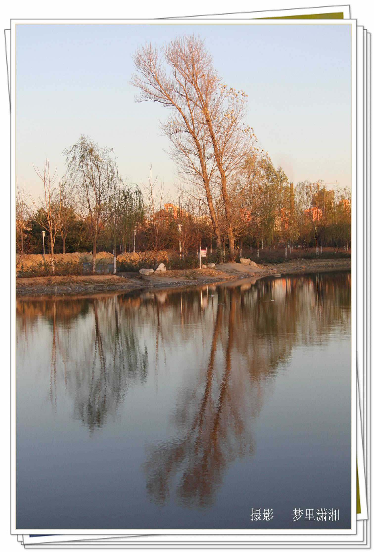 IMG_2653_.jpg