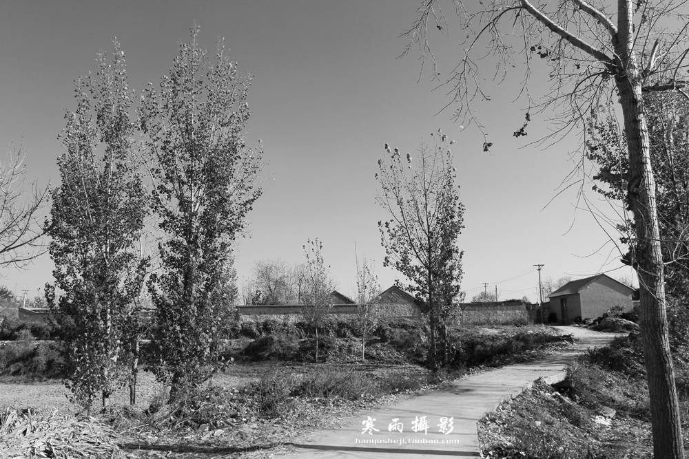 _MG_7569.jpg
