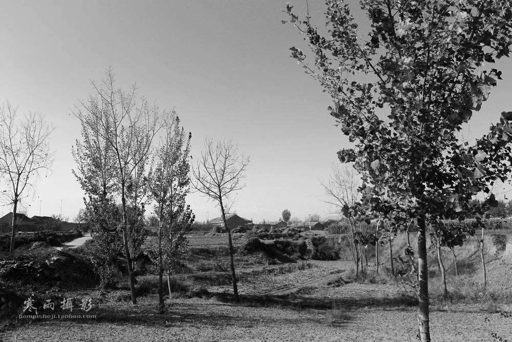 _MG_7574.jpg