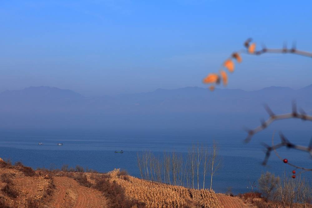 _MG_3208.JPG