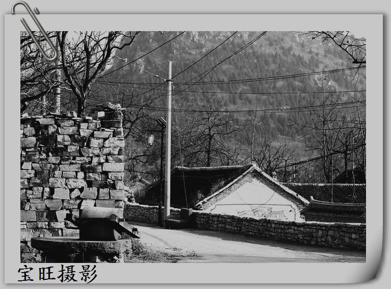 _MG_1426.jpg