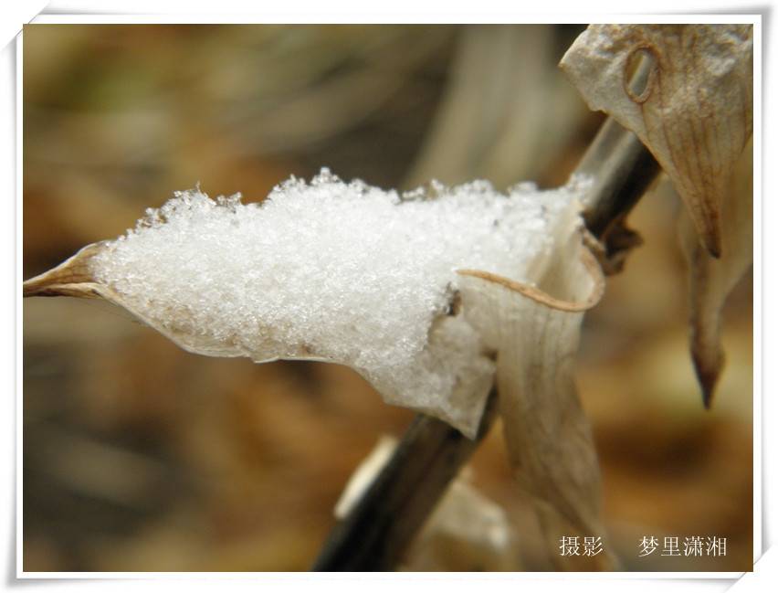 PC020107_.jpg